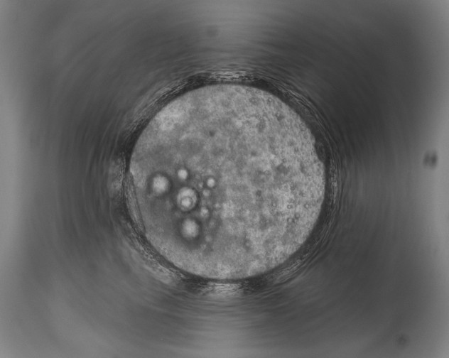 X0000115070665200911171131