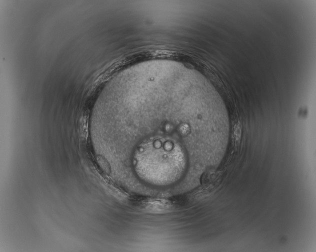 X0000115070666200911171131