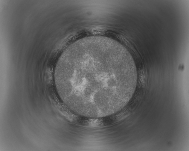 X0000115070667200911171131