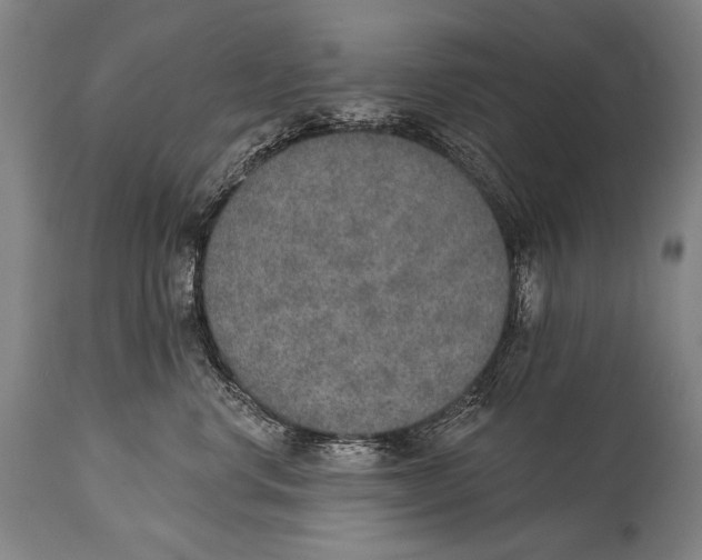 X0000115070668200911171131