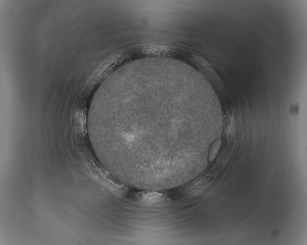X0000115070669200911171131