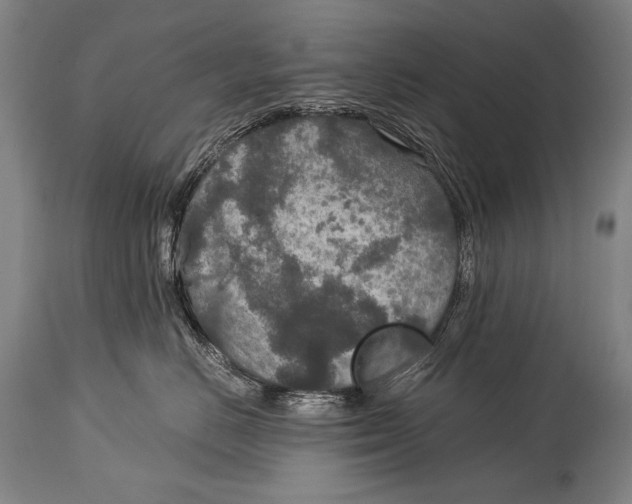 X0000115070670200911171131