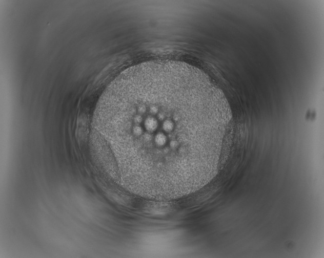 X0000115070671200911171131