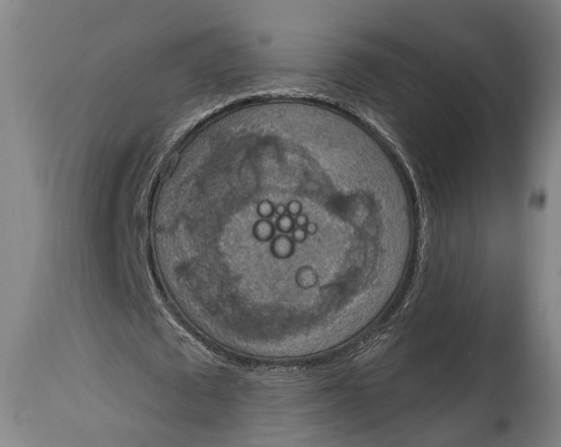 X0000115070673200911171131