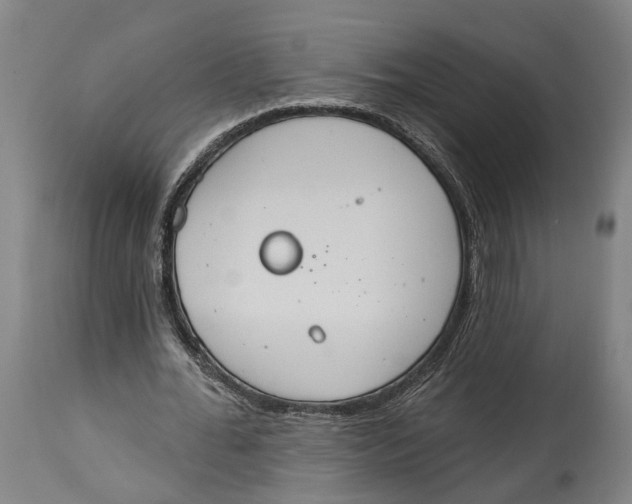 X0000115070676200911171131