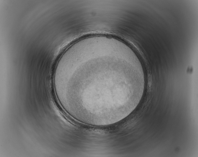 X0000115070677200911171131