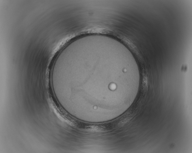 X0000115070678200911171131
