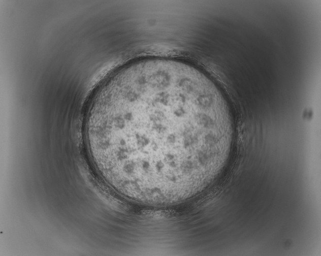 X0000115070679200911171131