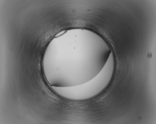 X0000115070681200911171131