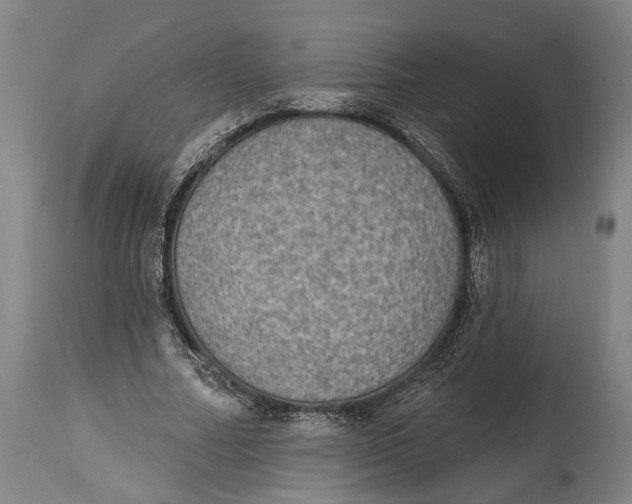 X0000115070682200911171131