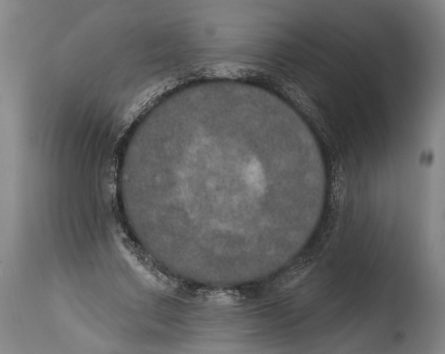 X0000115070683200911171131
