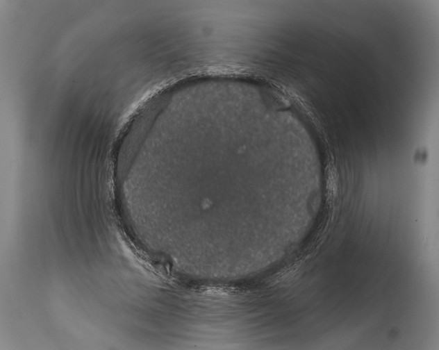 X0000115070684200911171131