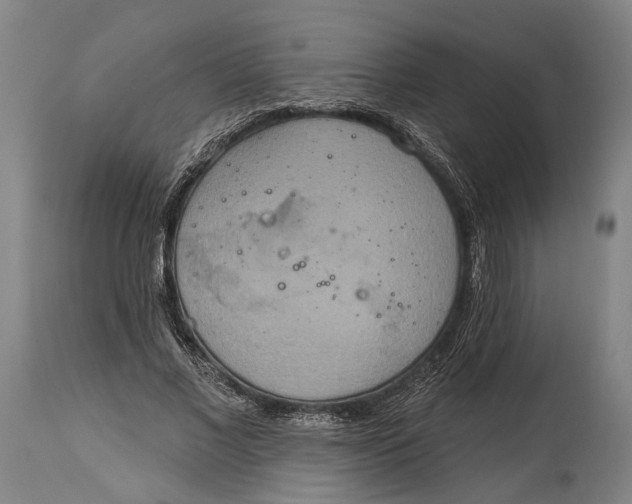 X0000115070685200911171131