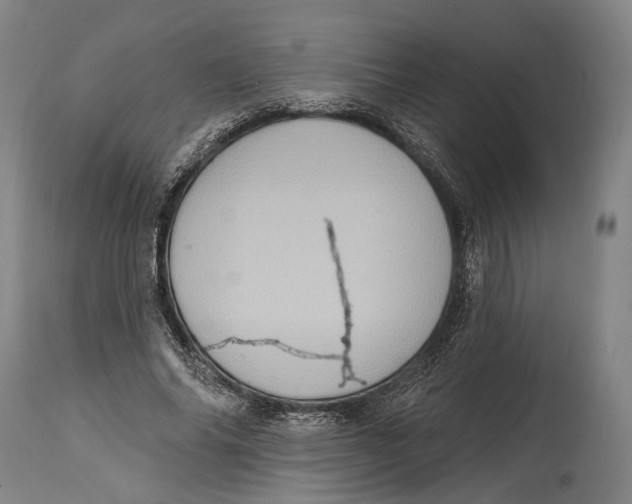 X0000115070686200911171131