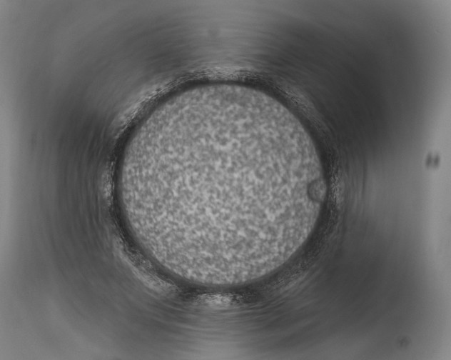 X0000115070687200911171131
