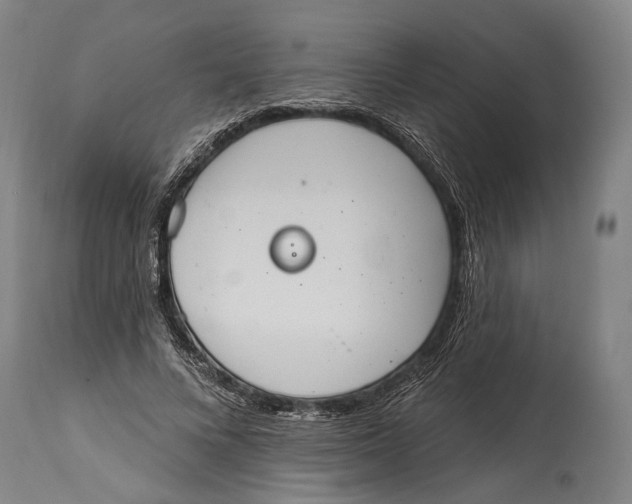 X0000115070688200911171131
