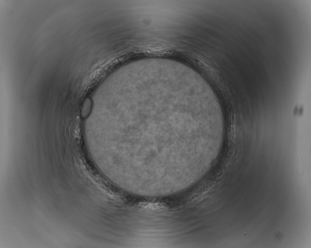 X0000115070689200911171130