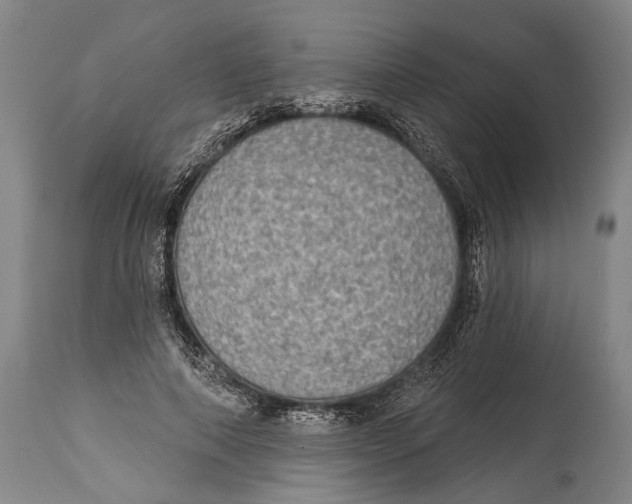 X0000115070690200911171130