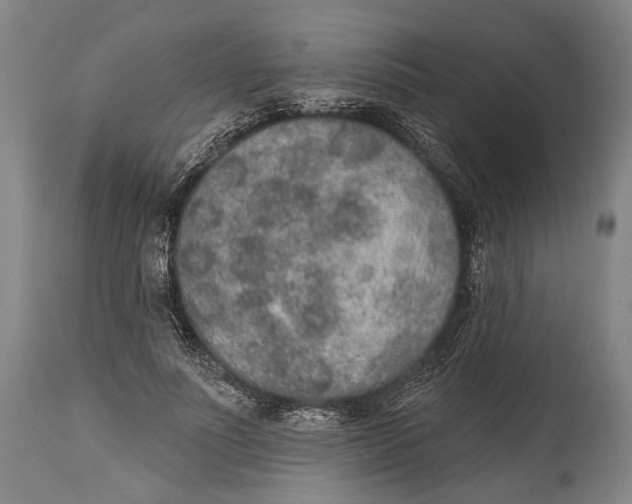 X0000115070691200911171130