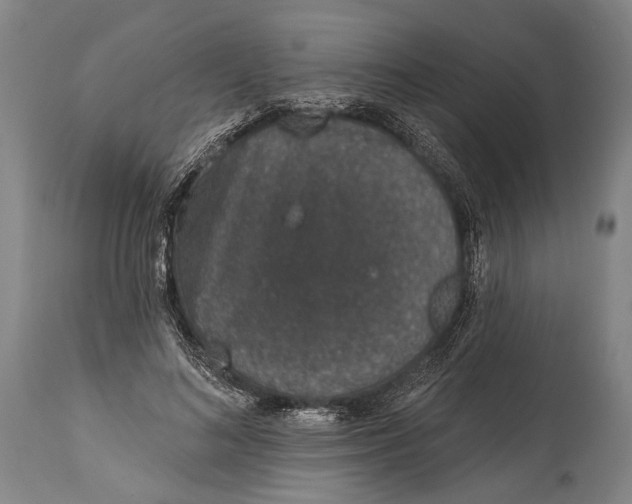 X0000115070692200911171130