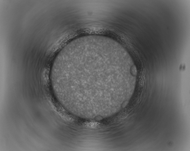 X0000115070695200911171130
