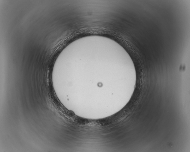 X0000115070696200911171130