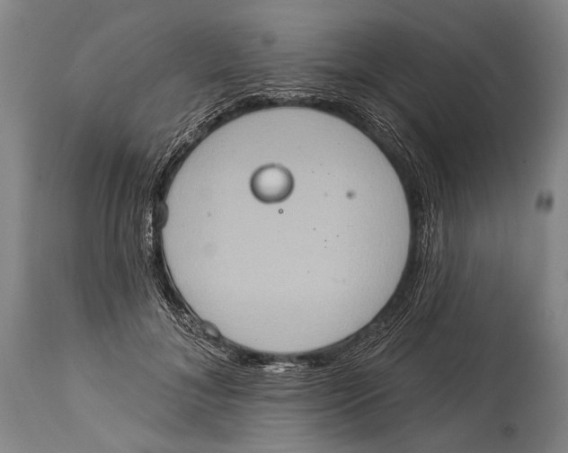 X0000115070700200911171130