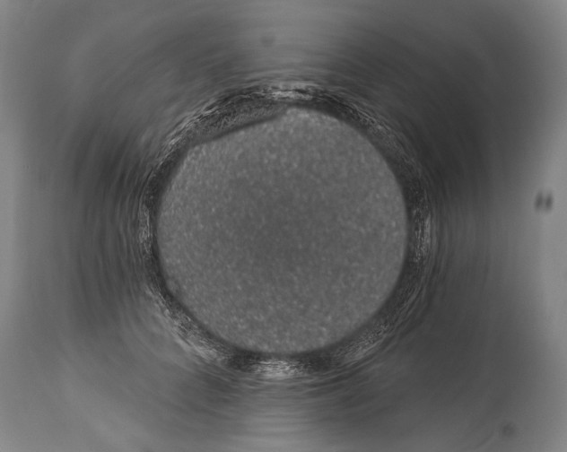 X0000115070704200911171130