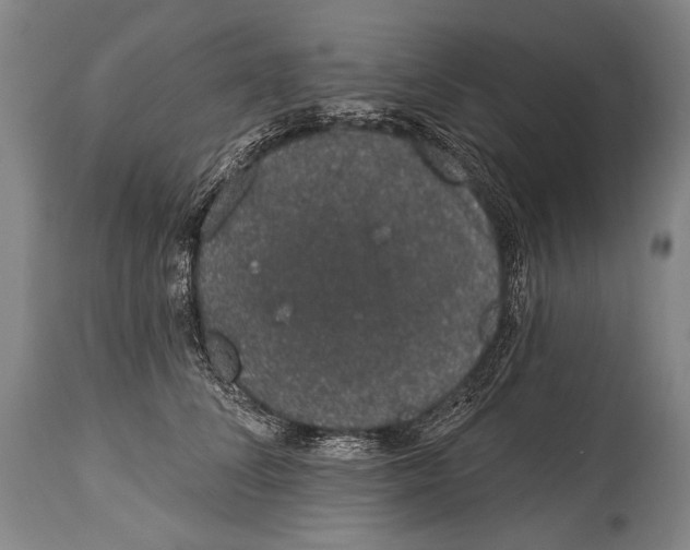 X0000115070708200911171130
