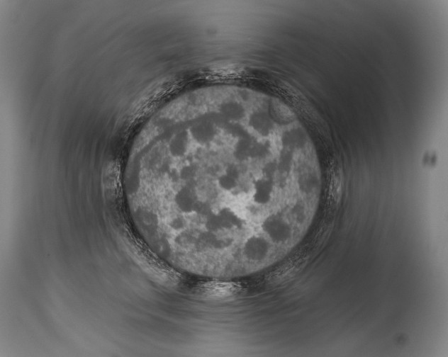 X0000115070711200911171130
