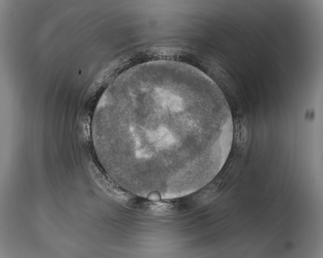 X0000115070718200911171130