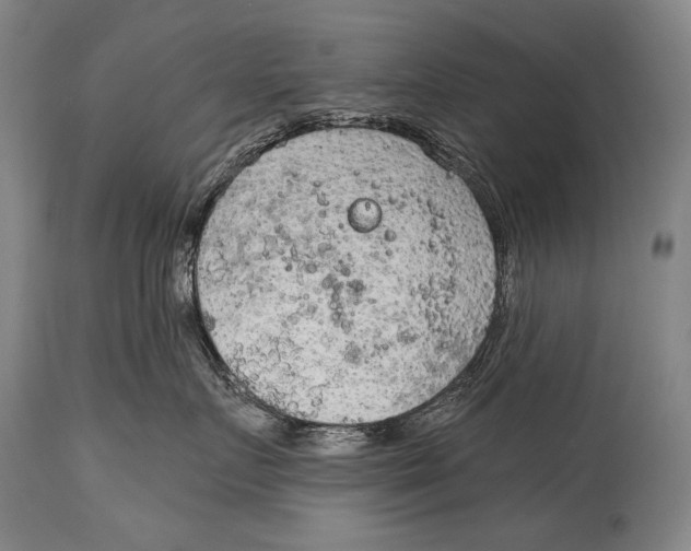 X0000115070719200911171130
