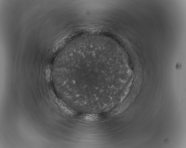 X0000115070720200911171130