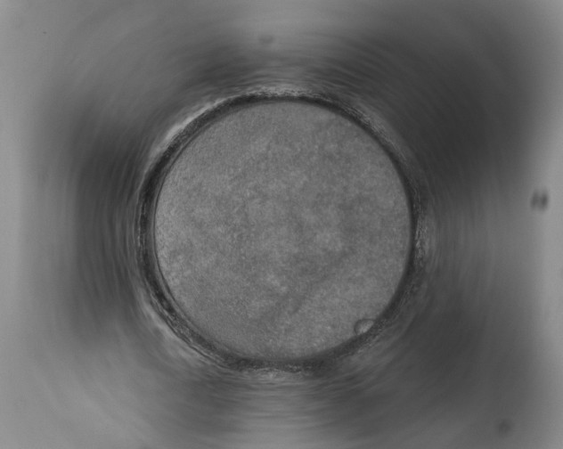 X0000115070722200911171129
