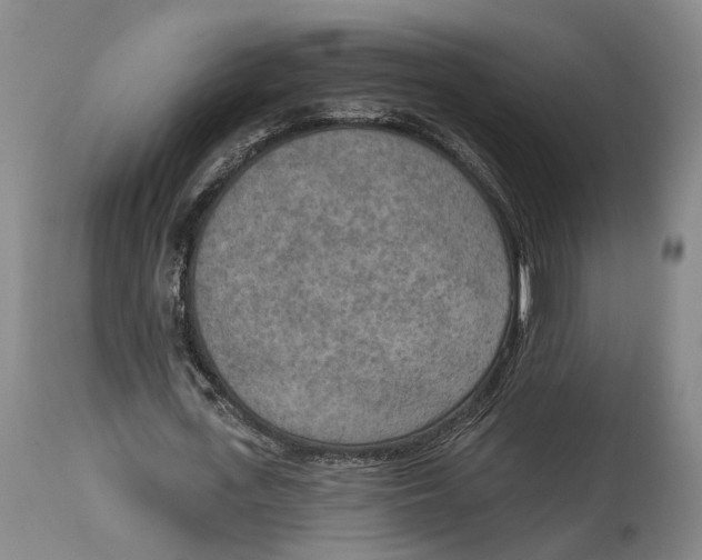 X0000115070723200911171129