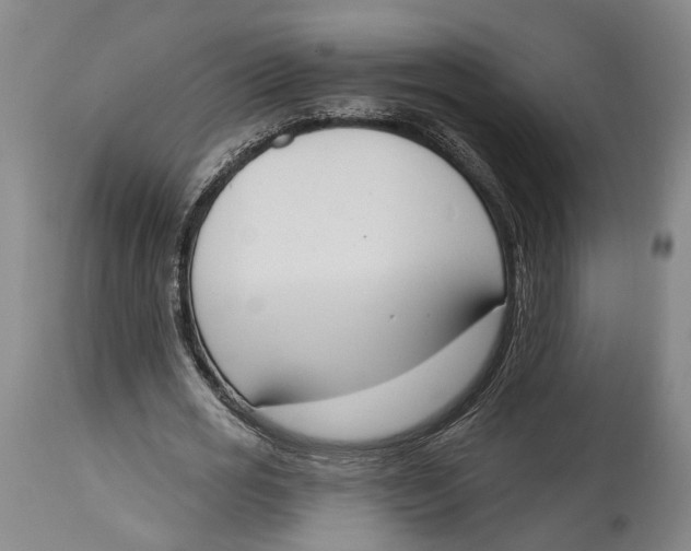 X0000115070725200911171129