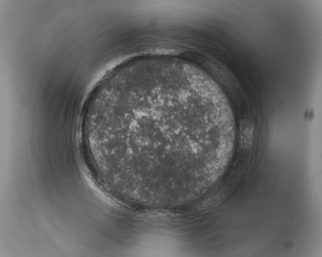 X0000115070726200911171129