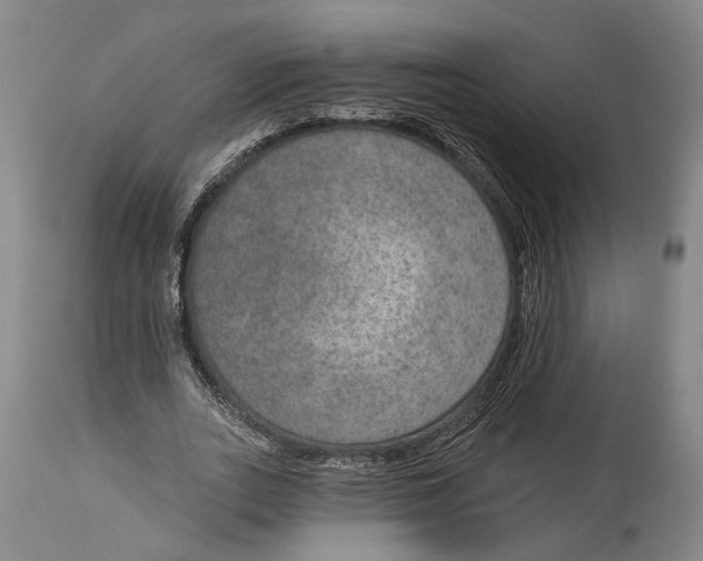 X0000115070727200911171129