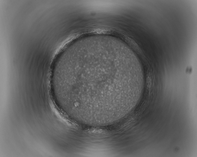 X0000115070730200911171130