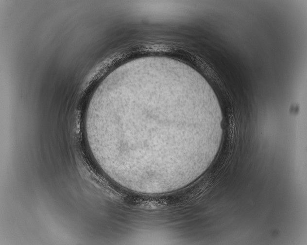 X0000115070731200911171130