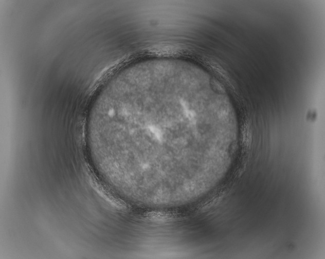 X0000115070733200911171130