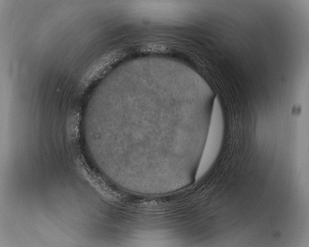 X0000115070735200911171130