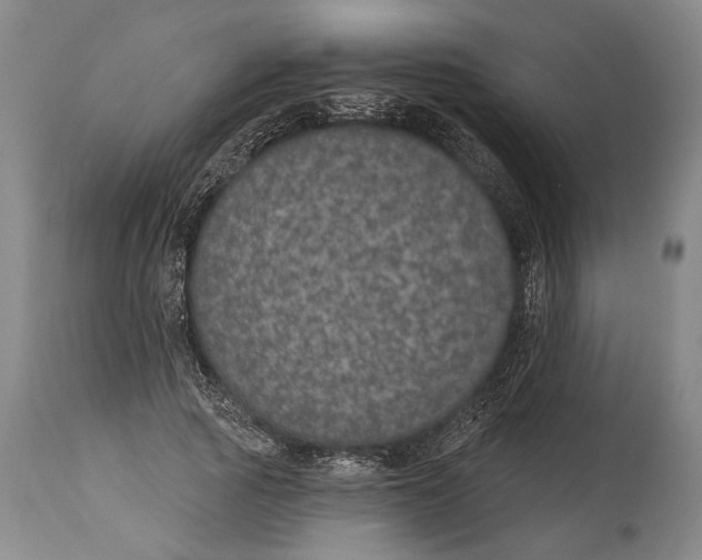 X0000115070737200911171130