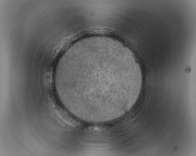 X0000115070739200911171130