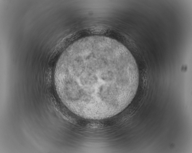 X0000115070745200911171130