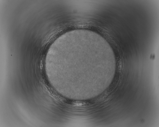 X0000115070746200911171130