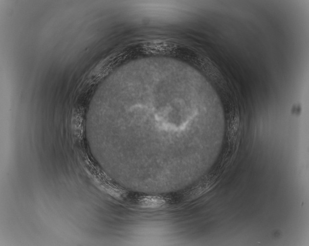 X0000115070749200911171130