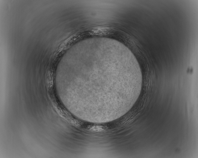 X0000115070751200911171130