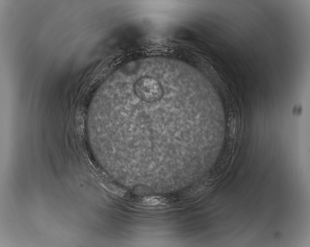 X0000115070753200911171130