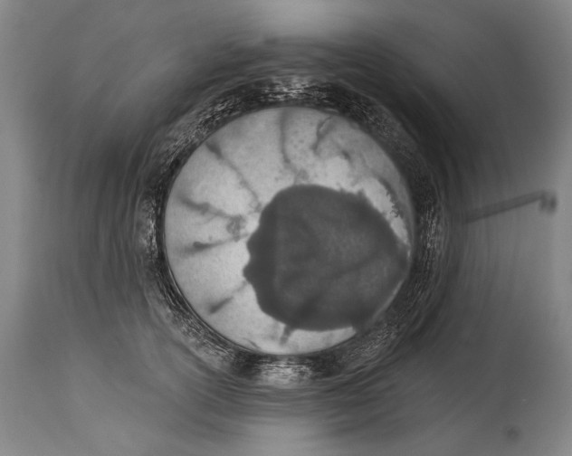 X0000115070754200911171130